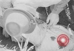 Standbild Masse Vergraben von Gardelegen Massaker Opfer Gardelegen Deutschland, 1945, aus Sekunde 16 historischem Filmmaterial Videoclip 65675073349