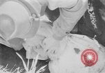 Standbild Masse Vergraben von Gardelegen Massaker Opfer Gardelegen Deutschland, 1945, aus Sekunde 17 historischem Filmmaterial Videoclip 65675073349