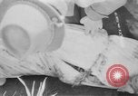 Standbild Masse Vergraben von Gardelegen Massaker Opfer Gardelegen Deutschland, 1945, aus Sekunde 18 historischem Filmmaterial Videoclip 65675073349