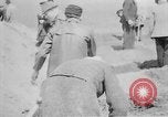 Standbild Masse Vergraben von Gardelegen Massaker Opfer Gardelegen Deutschland, 1945, aus Sekunde 28 historischem Filmmaterial Videoclip 65675073349