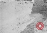 Standbild Masse Vergraben von Gardelegen Massaker Opfer Gardelegen Deutschland, 1945, aus Sekunde 31 historischem Filmmaterial Videoclip 65675073349