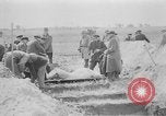 Standbild Masse Vergraben von Gardelegen Massaker Opfer Gardelegen Deutschland, 1945, aus Sekunde 39 historischem Filmmaterial Videoclip 65675073349