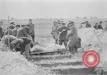 Standbild Masse Vergraben von Gardelegen Massaker Opfer Gardelegen Deutschland, 1945, aus Sekunde 40 historischem Filmmaterial Videoclip 65675073349