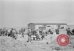Standbild Masse Vergraben von Gardelegen Massaker Opfer Gardelegen Deutschland, 1945, aus Sekunde 45 historischem Filmmaterial Videoclip 65675073349