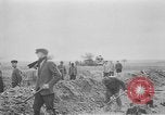 Standbild Masse Vergraben von Gardelegen Massaker Opfer Gardelegen Deutschland, 1945, aus Sekunde 57 historischem Filmmaterial Videoclip 65675073349