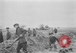 Standbild Masse Vergraben von Gardelegen Massaker Opfer Gardelegen Deutschland, 1945, aus Sekunde 58 historischem Filmmaterial Videoclip 65675073349