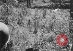 Standbild philippinischen Soldaten Baguio philippinischen Inseln, 1945, aus Sekunde 6 historischem Filmmaterial Videoclip 65675073351