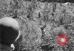 Standbild philippinischen Soldaten Baguio philippinischen Inseln, 1945, aus Sekunde 10 historischem Filmmaterial Videoclip 65675073351