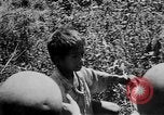 Standbild philippinischen Soldaten Baguio philippinischen Inseln, 1945, aus Sekunde 25 historischem Filmmaterial Videoclip 65675073351