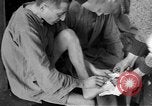 Image au camp de concentration de Buchenwald Allemagne, 1945, de la seconde 17 séquences d'archives historiques vidéo 65675073354