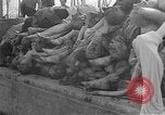 Image au camp de concentration de Buchenwald Allemagne, 1945, de la seconde 30 séquences d'archives historiques vidéo 65675073354
