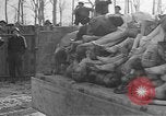 Image au camp de concentration de Buchenwald Allemagne, 1945, de la seconde 34 séquences d'archives historiques vidéo 65675073354