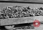 Image au camp de concentration de Buchenwald Allemagne, 1945, de la seconde 48 séquences d'archives historiques vidéo 65675073354