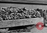 Image au camp de concentration de Buchenwald Allemagne, 1945, de la seconde 49 séquences d'archives historiques vidéo 65675073354