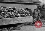 Image au camp de concentration de Buchenwald Allemagne, 1945, de la seconde 50 séquences d'archives historiques vidéo 65675073354