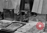 Immagine di A Buchenwald Campo di Concentramento Germania, 1945, secondo 14 filmato di repertorio 65675073357