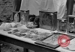 Immagine di A Buchenwald Campo di Concentramento Germania, 1945, secondo 18 filmato di repertorio 65675073357