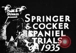 Immagine di Cocker épagneuls Verbank New York USA, 1935, secondo 6 filmato di repertorio 65675073362