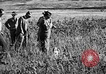 Immagine di Cocker épagneuls Verbank New York USA, 1935, secondo 11 filmato di repertorio 65675073363