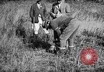 Immagine di Cocker épagneuls Verbank New York USA, 1935, secondo 15 filmato di repertorio 65675073364