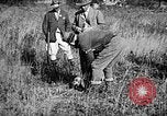 Immagine di Cocker épagneuls Verbank New York USA, 1935, secondo 16 filmato di repertorio 65675073364