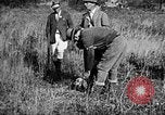Immagine di Cocker épagneuls Verbank New York USA, 1935, secondo 17 filmato di repertorio 65675073364