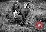 Immagine di Cocker épagneuls Verbank New York USA, 1935, secondo 18 filmato di repertorio 65675073364