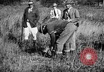 Immagine di Cocker épagneuls Verbank New York USA, 1935, secondo 19 filmato di repertorio 65675073364