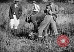 Immagine di Cocker épagneuls Verbank New York USA, 1935, secondo 21 filmato di repertorio 65675073364