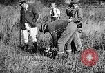 Immagine di Cocker épagneuls Verbank New York USA, 1935, secondo 23 filmato di repertorio 65675073364