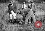 Immagine di Cocker épagneuls Verbank New York USA, 1935, secondo 24 filmato di repertorio 65675073364