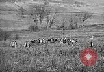 Standbild English Springer Spaniels Verbank New York USA, 1935, aus Sekunde 12 historischem Filmmaterial Videoclip 65675073365