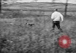 Standbild English Springer Spaniels Verbank New York USA, 1935, aus Sekunde 31 historischem Filmmaterial Videoclip 65675073365