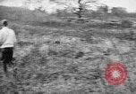 Standbild English Springer Spaniels Verbank New York USA, 1935, aus Sekunde 35 historischem Filmmaterial Videoclip 65675073365