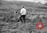 Standbild English Springer Spaniels Verbank New York USA, 1935, aus Sekunde 36 historischem Filmmaterial Videoclip 65675073365