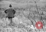 Standbild English Springer Spaniels Verbank New York USA, 1935, aus Sekunde 41 historischem Filmmaterial Videoclip 65675073365