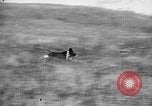Standbild English Springer Spaniels Verbank New York USA, 1935, aus Sekunde 43 historischem Filmmaterial Videoclip 65675073365