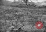 Standbild English Springer Spaniels Verbank New York USA, 1935, aus Sekunde 48 historischem Filmmaterial Videoclip 65675073365