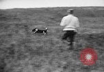 Standbild English Springer Spaniels Verbank New York USA, 1935, aus Sekunde 50 historischem Filmmaterial Videoclip 65675073365