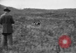 Standbild English Springer Spaniels Verbank New York USA, 1935, aus Sekunde 51 historischem Filmmaterial Videoclip 65675073365