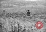 Standbild English Springer Spaniels Verbank New York USA, 1935, aus Sekunde 56 historischem Filmmaterial Videoclip 65675073365