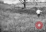 Standbild English Springer Spaniels Verbank New York USA, 1935, aus Sekunde 59 historischem Filmmaterial Videoclip 65675073365