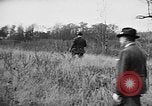 Immagine di English Springer épagneuls Verbank New York USA, 1935, secondo 18 filmato di repertorio 65675073366
