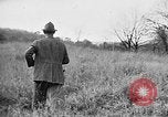 Immagine di English Springer épagneuls Verbank New York USA, 1935, secondo 23 filmato di repertorio 65675073366