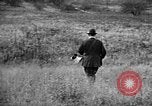 Immagine di English Springer épagneuls Verbank New York USA, 1935, secondo 24 filmato di repertorio 65675073366