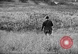 Immagine di English Springer épagneuls Verbank New York USA, 1935, secondo 26 filmato di repertorio 65675073366