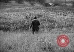 Immagine di English Springer épagneuls Verbank New York USA, 1935, secondo 27 filmato di repertorio 65675073366