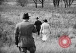 Immagine di English Springer épagneuls Verbank New York USA, 1935, secondo 48 filmato di repertorio 65675073366