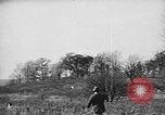 Immagine di English Springer épagneuls Verbank New York USA, 1935, secondo 59 filmato di repertorio 65675073366