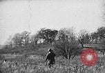 Immagine di English Springer épagneuls Verbank New York USA, 1935, secondo 60 filmato di repertorio 65675073366